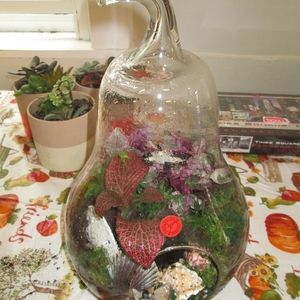 Gardens in Glass Kit